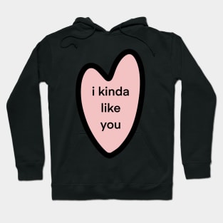 i kinda like you Hoodie